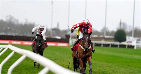 ladbrokes christmas festival|Ladbrokes hosts Christmas festival at Kempton Park Racecourse.